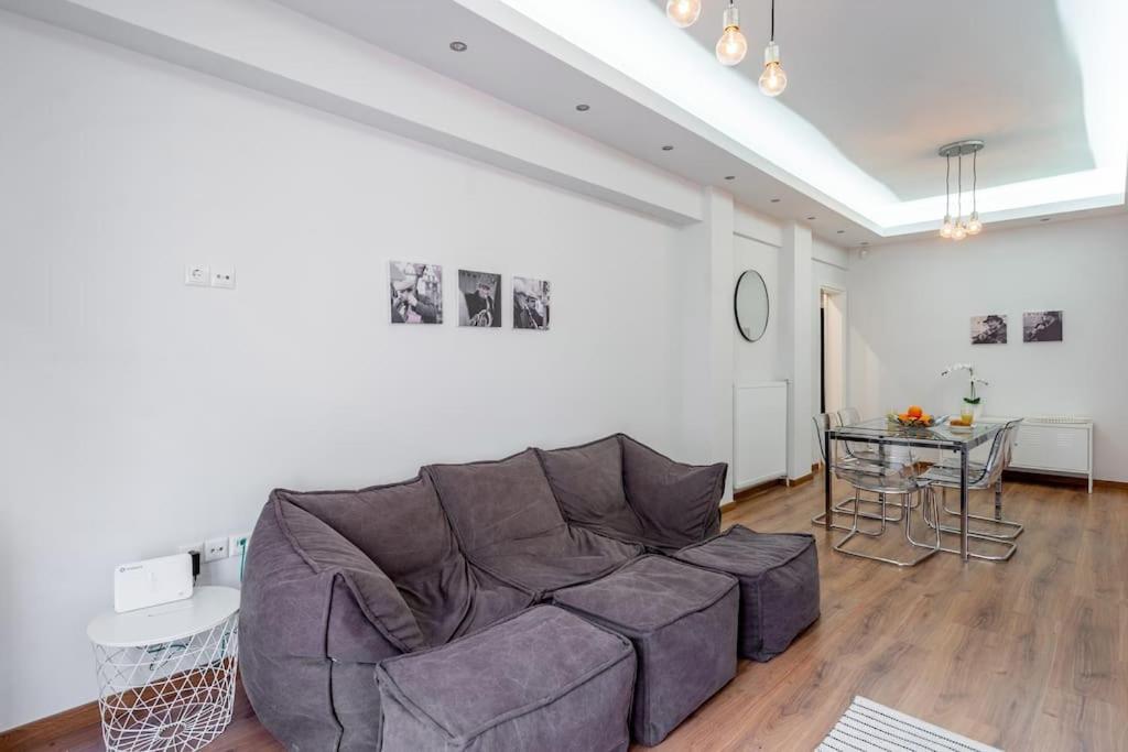 Modernised Athenian Apartment /W 2Br & 2Ba Luaran gambar